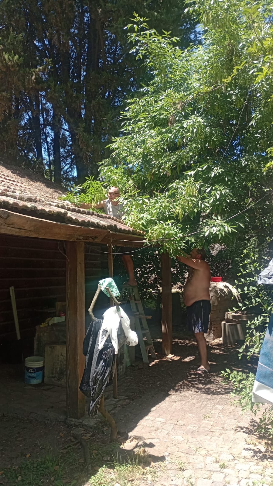 WhatsApp Image 2024-11-23 at 12.41.34.jpeg